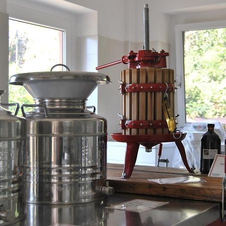 Ca' Dei Fazzilisti Bed & Breakfast Mori Ngoại thất bức ảnh